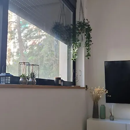 Cozy And Comfortable Appartement
